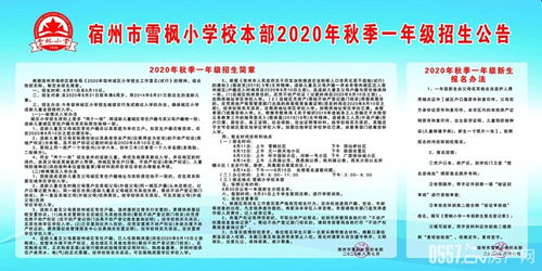 雪枫小学教育集团2020年秋季一年级招生公告及招生辅助服务说明